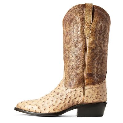 Ariat Circuit R Toe Kahverengi Western Csizma Erkek (40062-308)